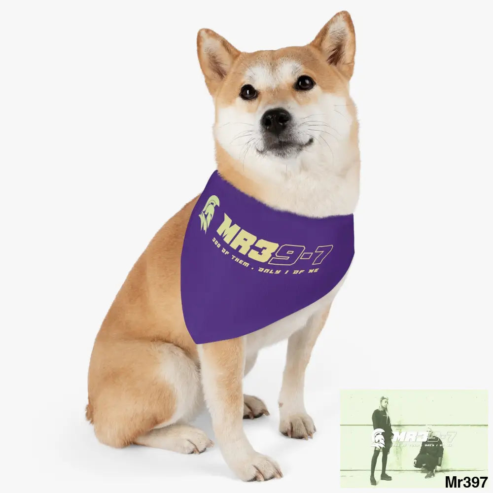 MR39 Pet Bandana Collar Pets