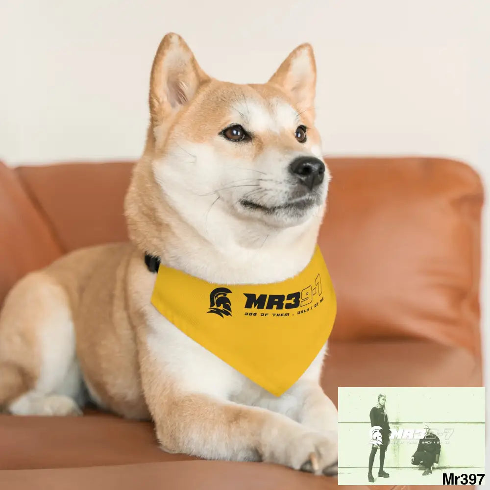 MR39 Pet Bandana Collar Pets