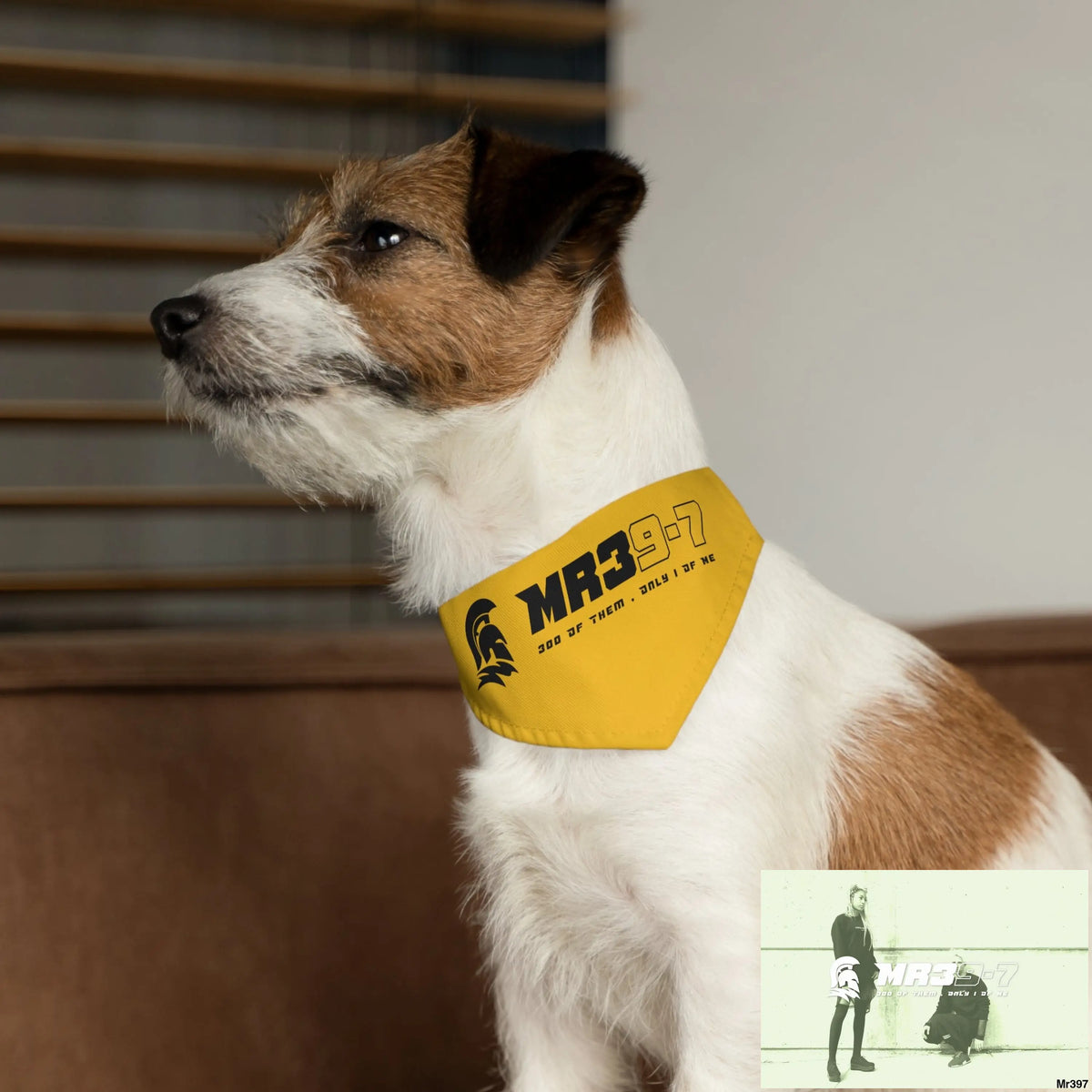 MR39 Pet Bandana Collar Pets