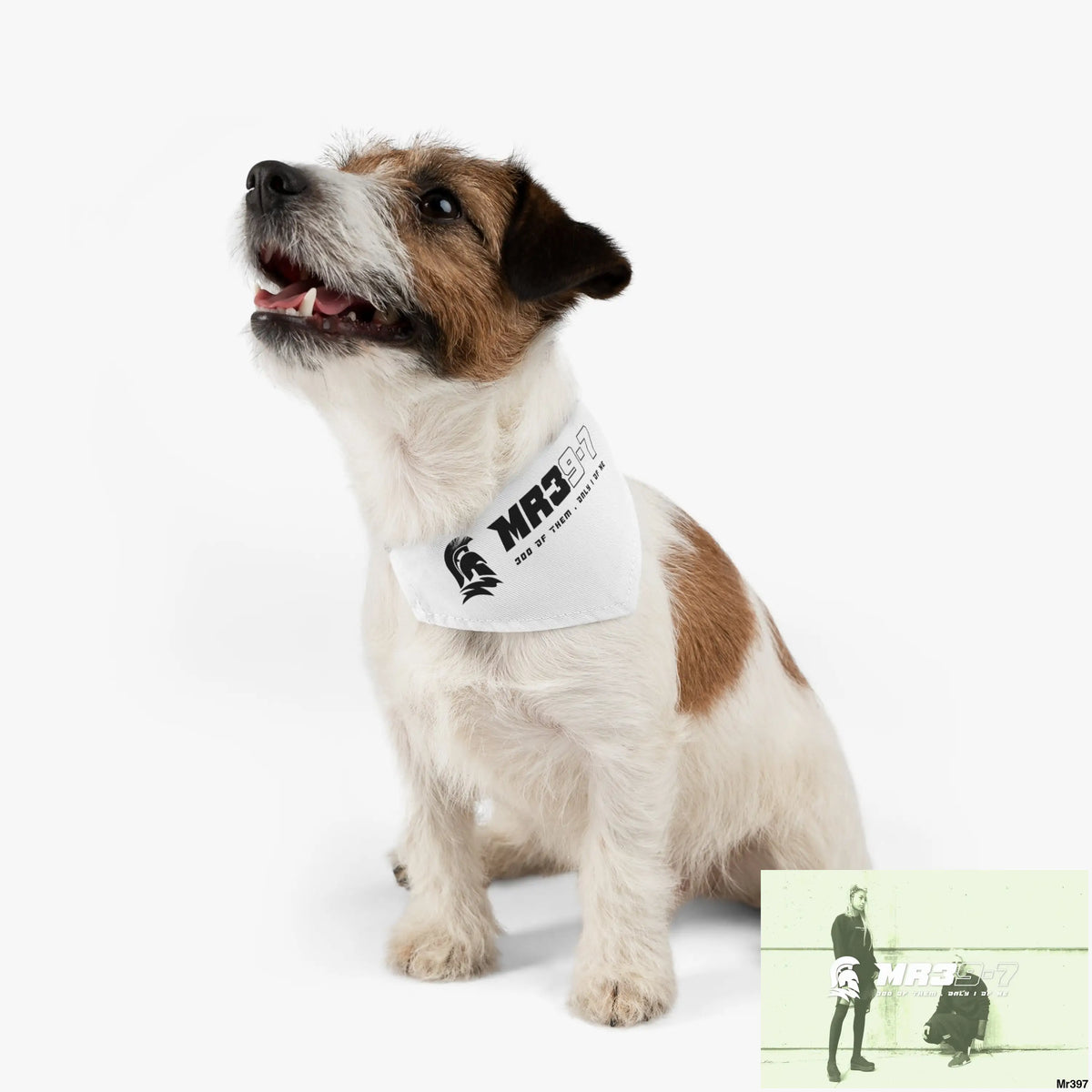 MR39 Pet Bandana Collar Pets