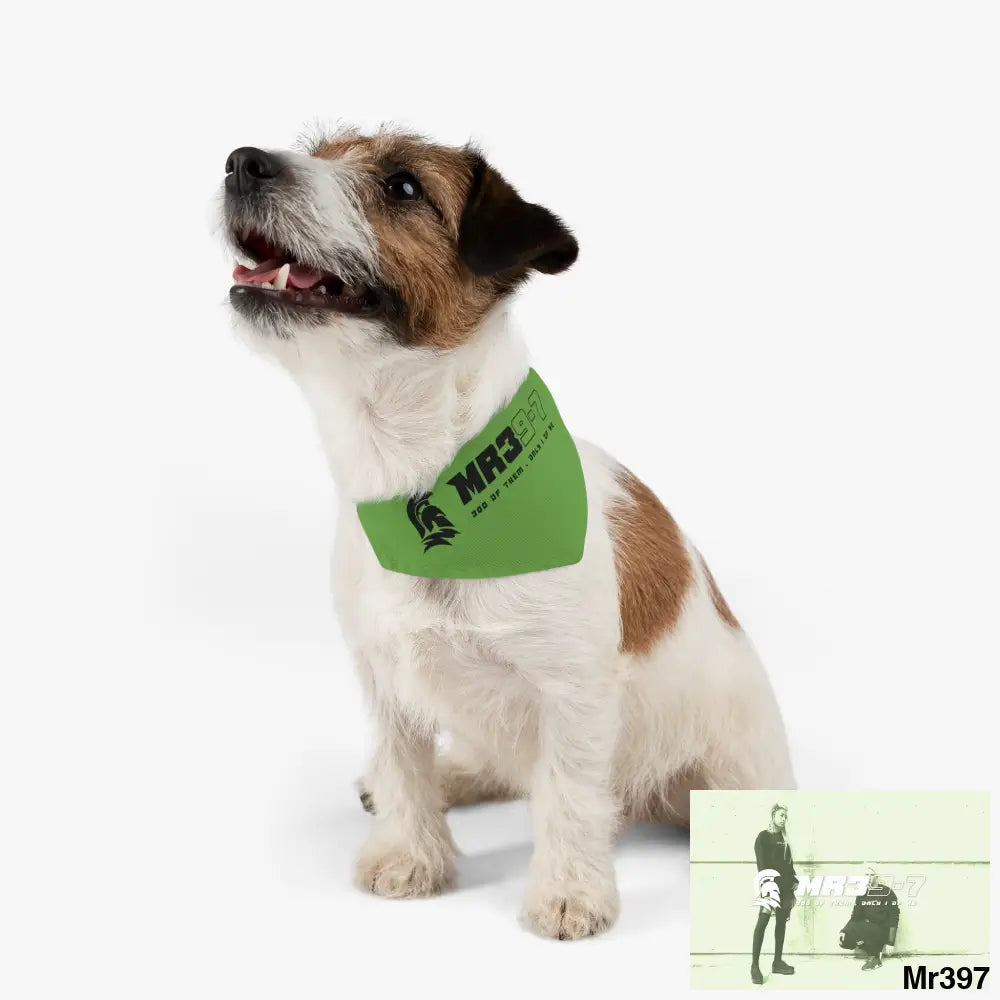 MR39 Pet Bandana Collar Pets