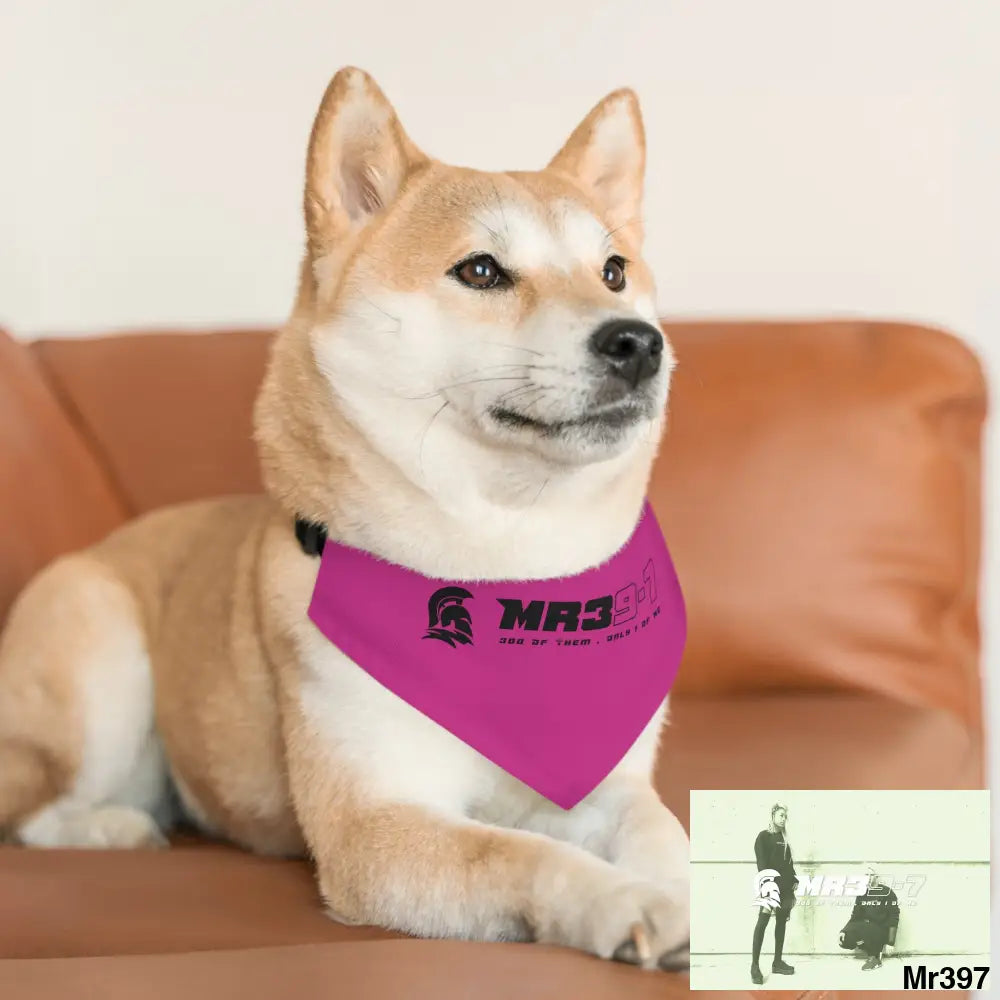 MR39 Pet Bandana Collar Pets