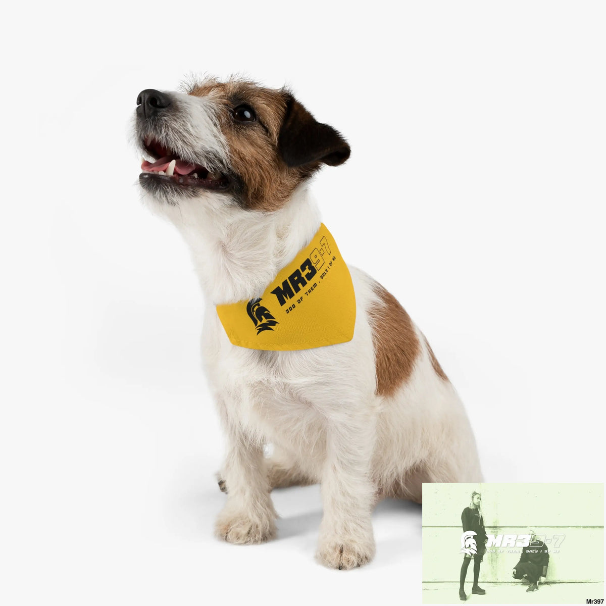 MR39 Pet Bandana Collar Pets