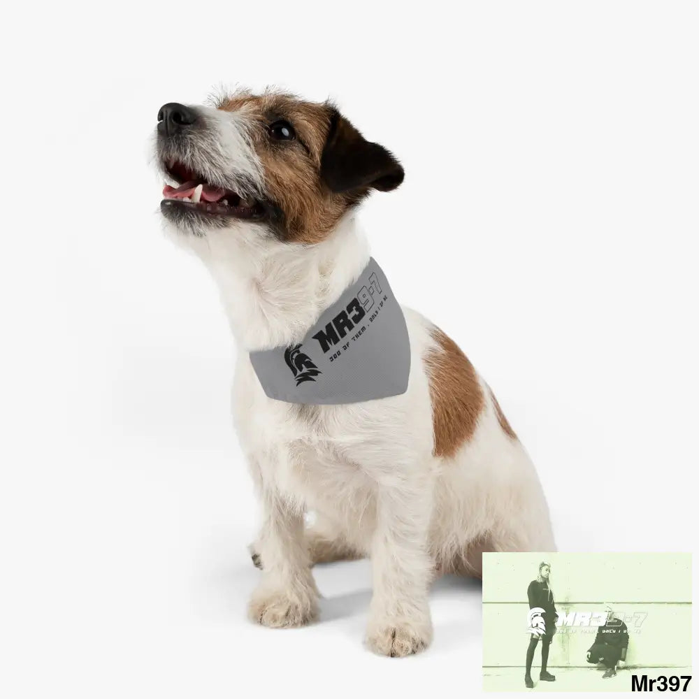 MR39 Pet Bandana Collar Pets