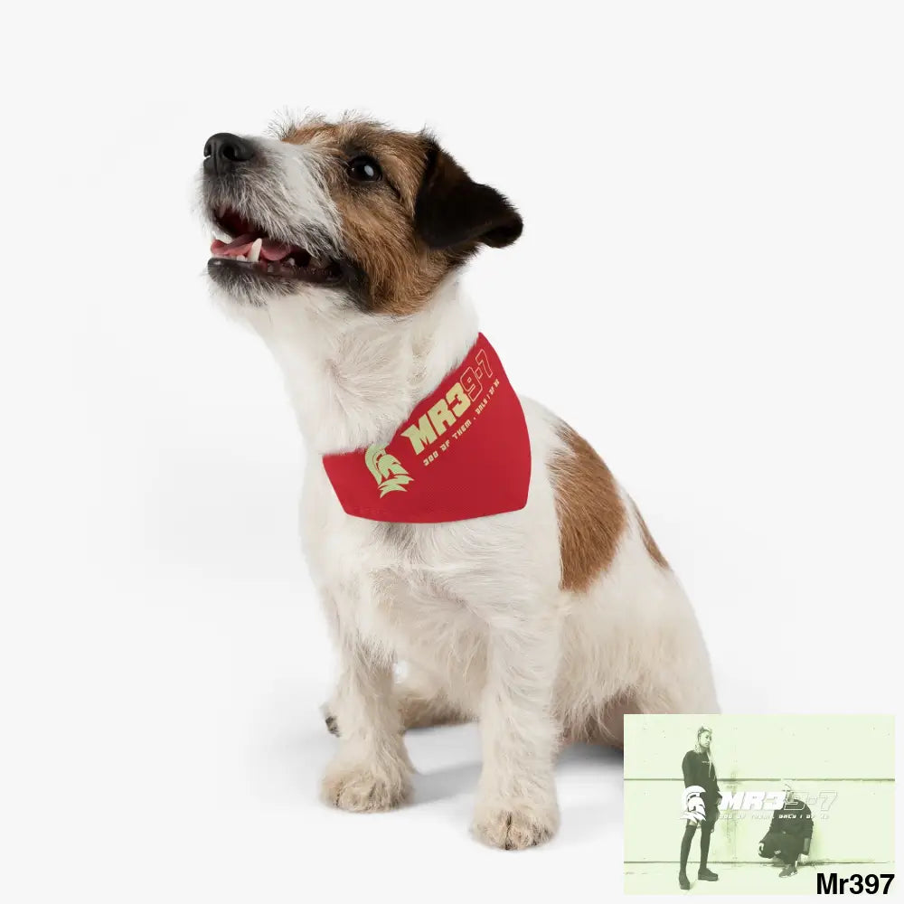 MR39 Pet Bandana Collar Pets