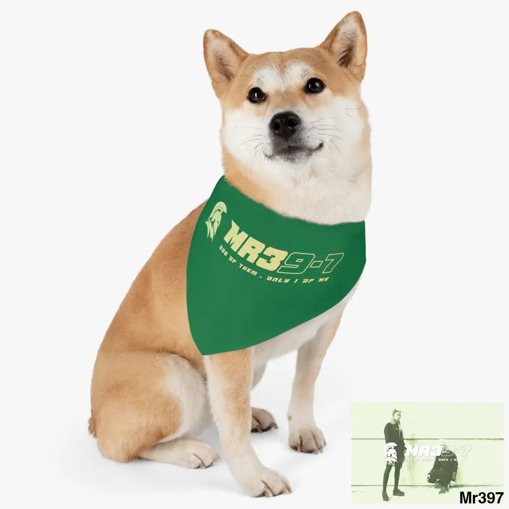 MR39 Pet Bandana Collar Pets