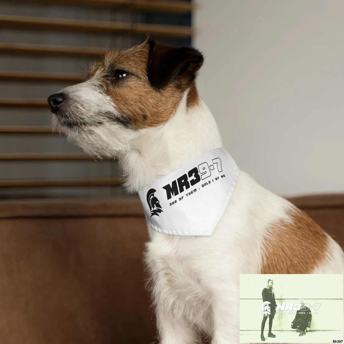 MR39 Pet Bandana Collar Pets