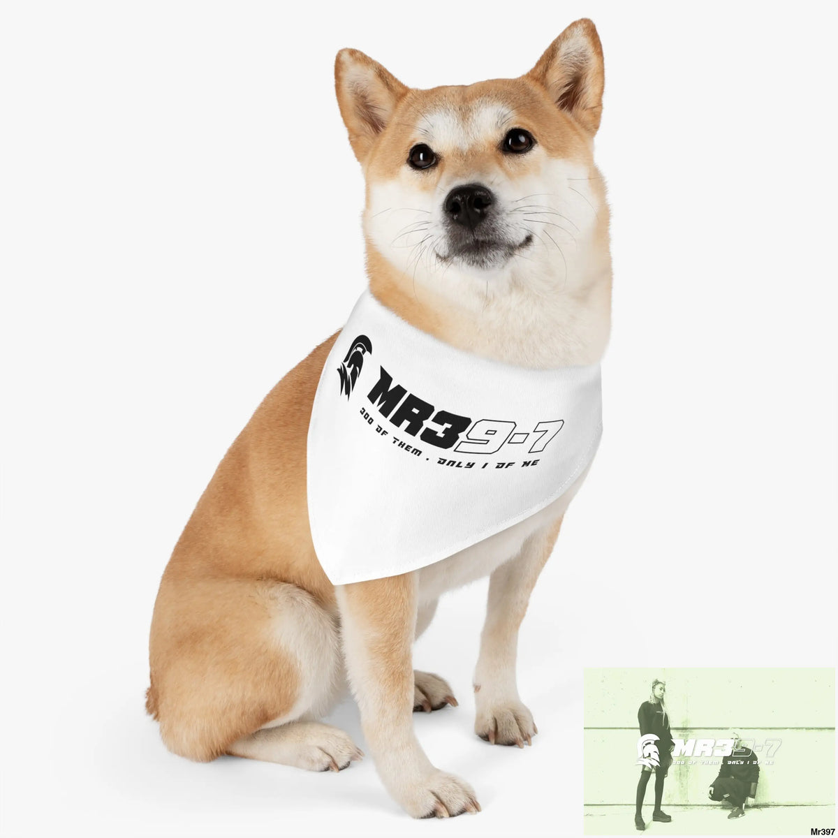 MR39 Pet Bandana Collar Pets