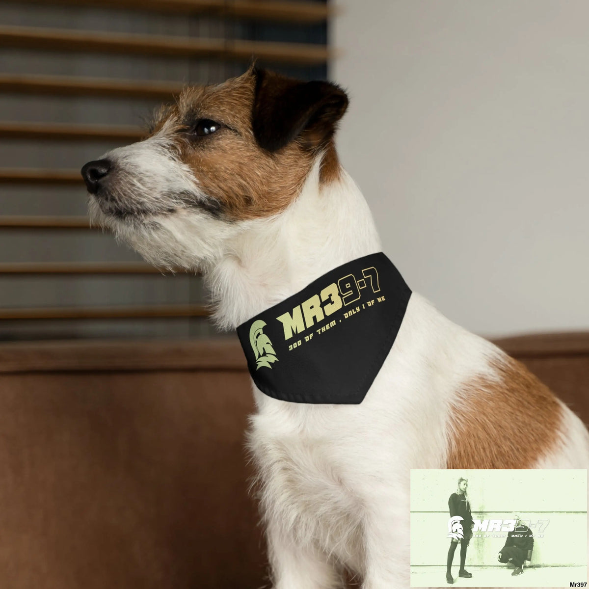 MR39 Pet Bandana Collar Pets