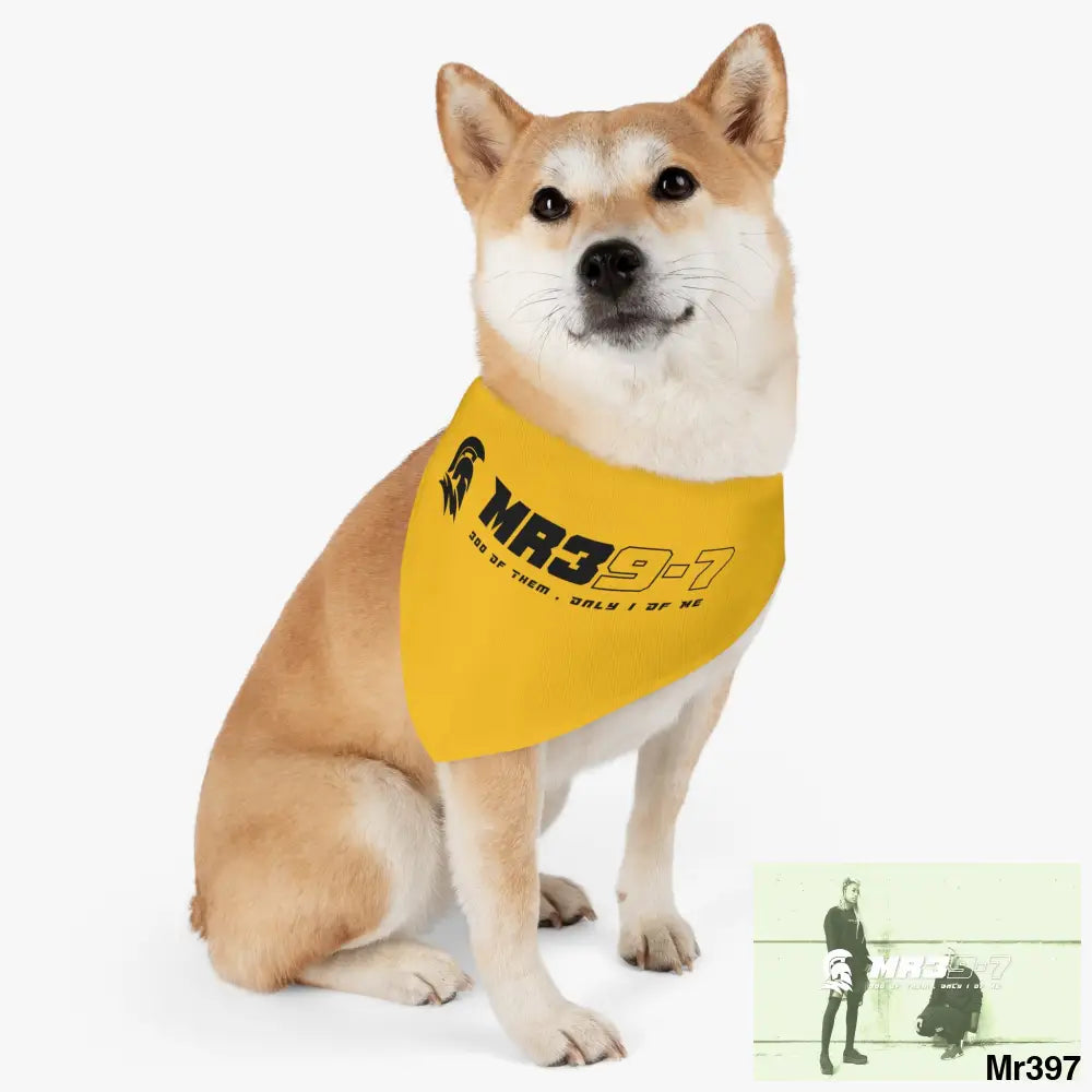 MR39 Pet Bandana Collar Pets