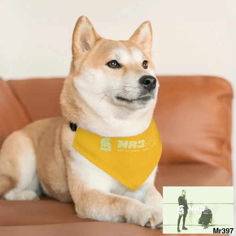 MR39 Pet Bandana Collar Pets