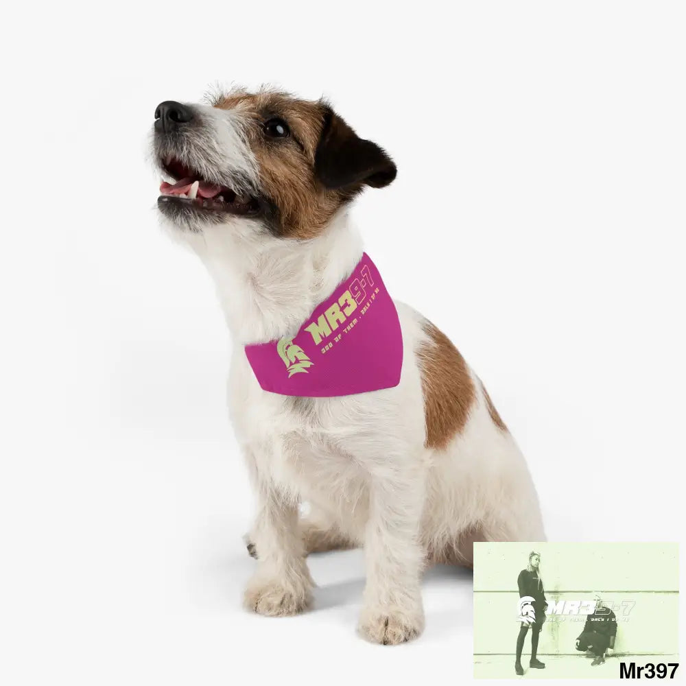 MR39 Pet Bandana Collar Pets