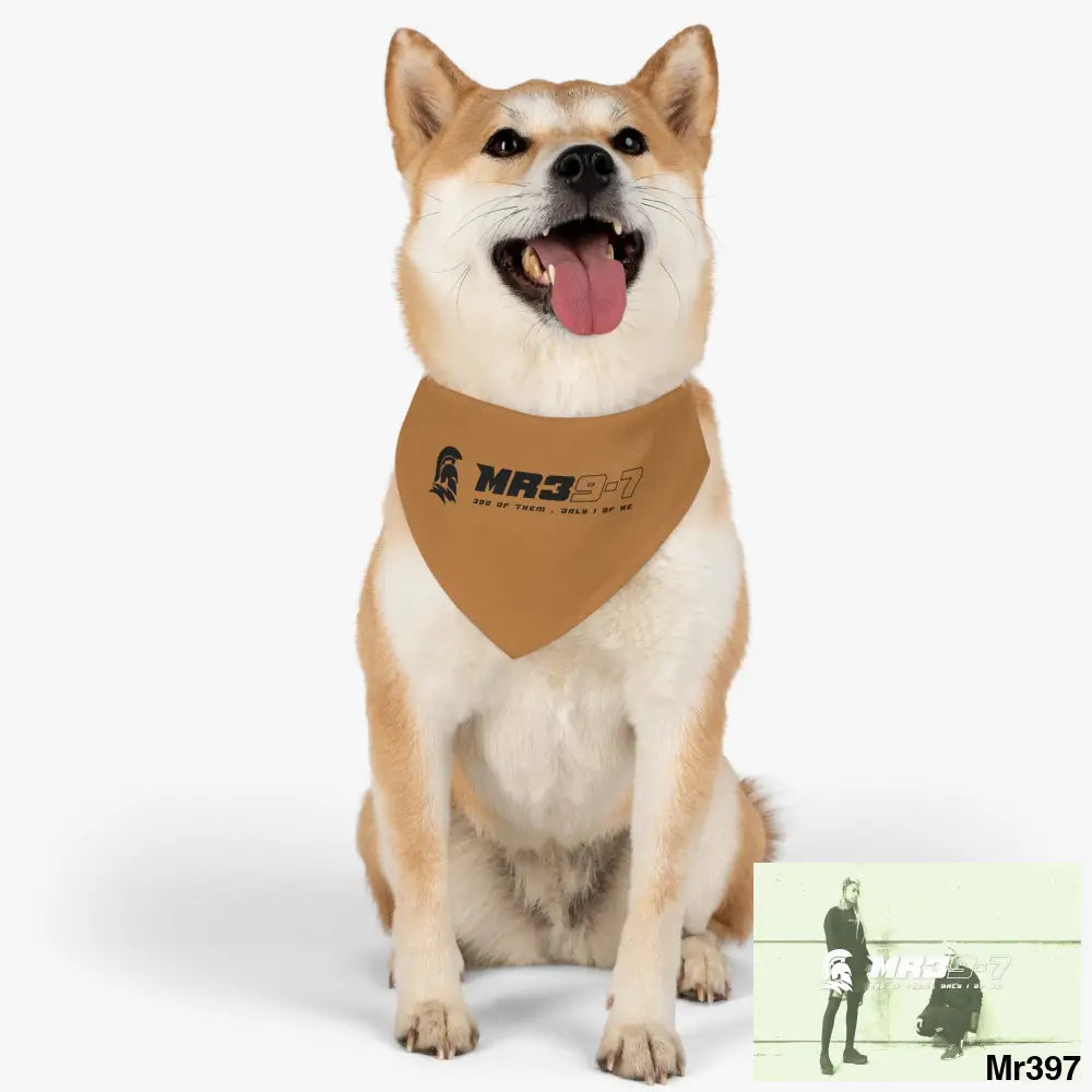 MR39 Pet Bandana Collar Pets