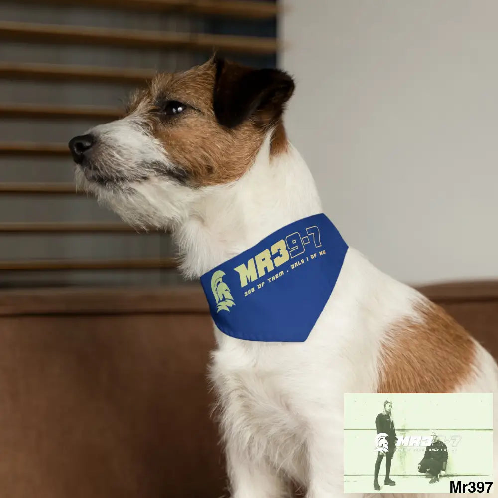 MR39 Pet Bandana Collar Pets