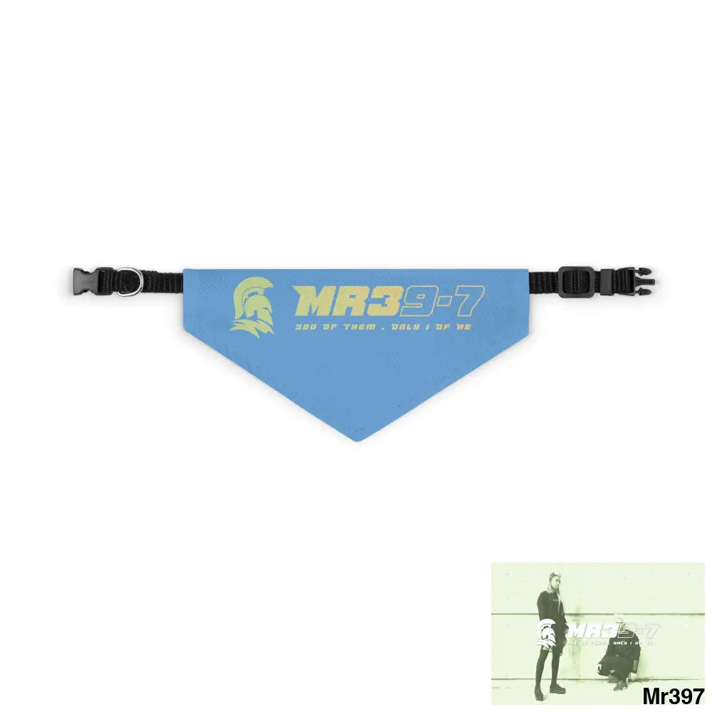 MR39 Pet Bandana Collar S Pets
