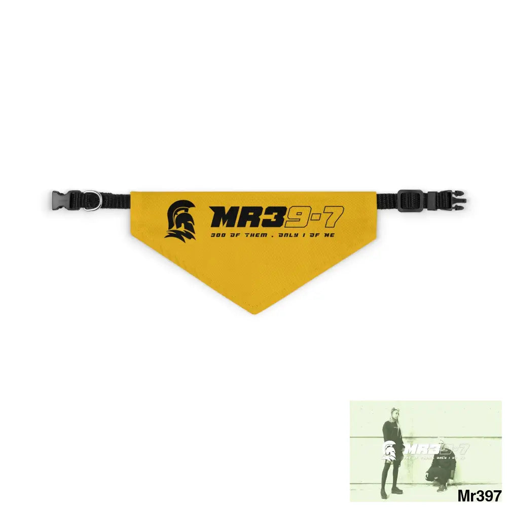 MR39 Pet Bandana Collar S Pets