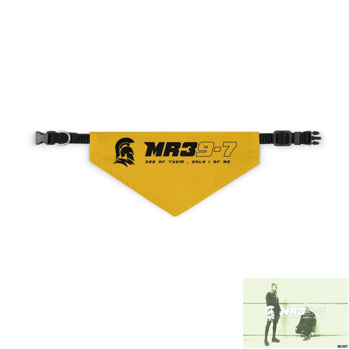 MR39 Pet Bandana Collar S Pets