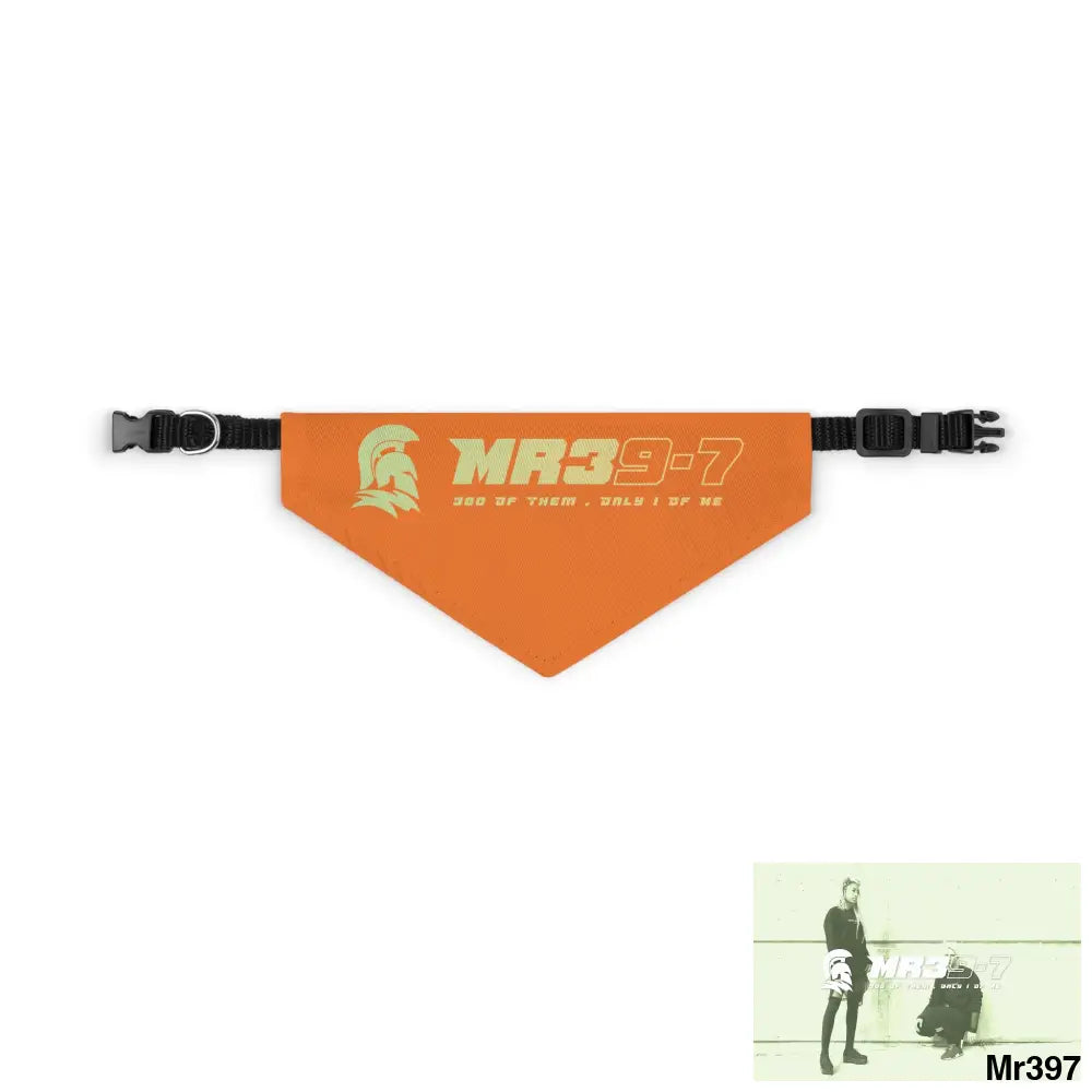 MR39 Pet Bandana Collar S Pets