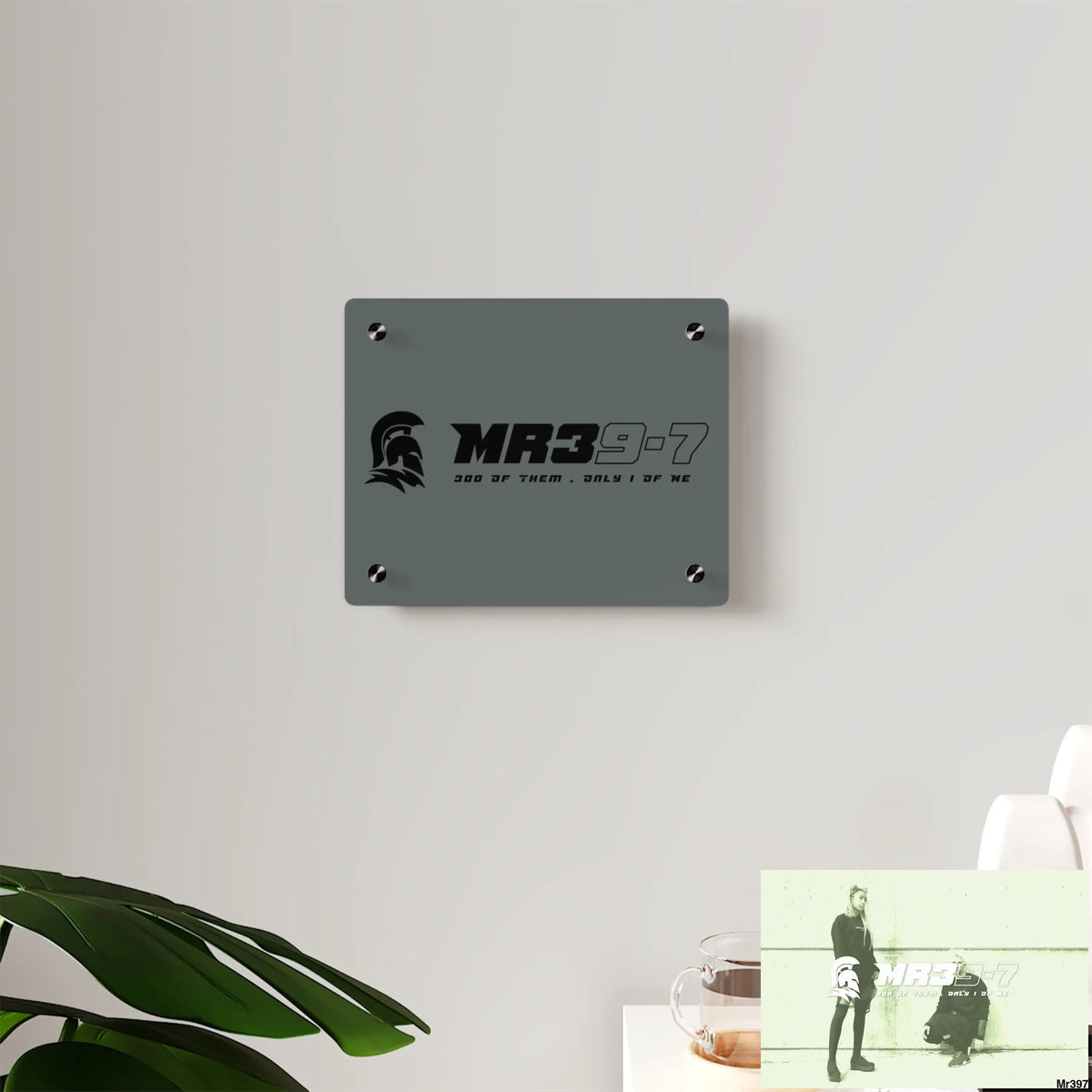 MR39 -Sparta Acrylic Wall Art Panels Home Decor