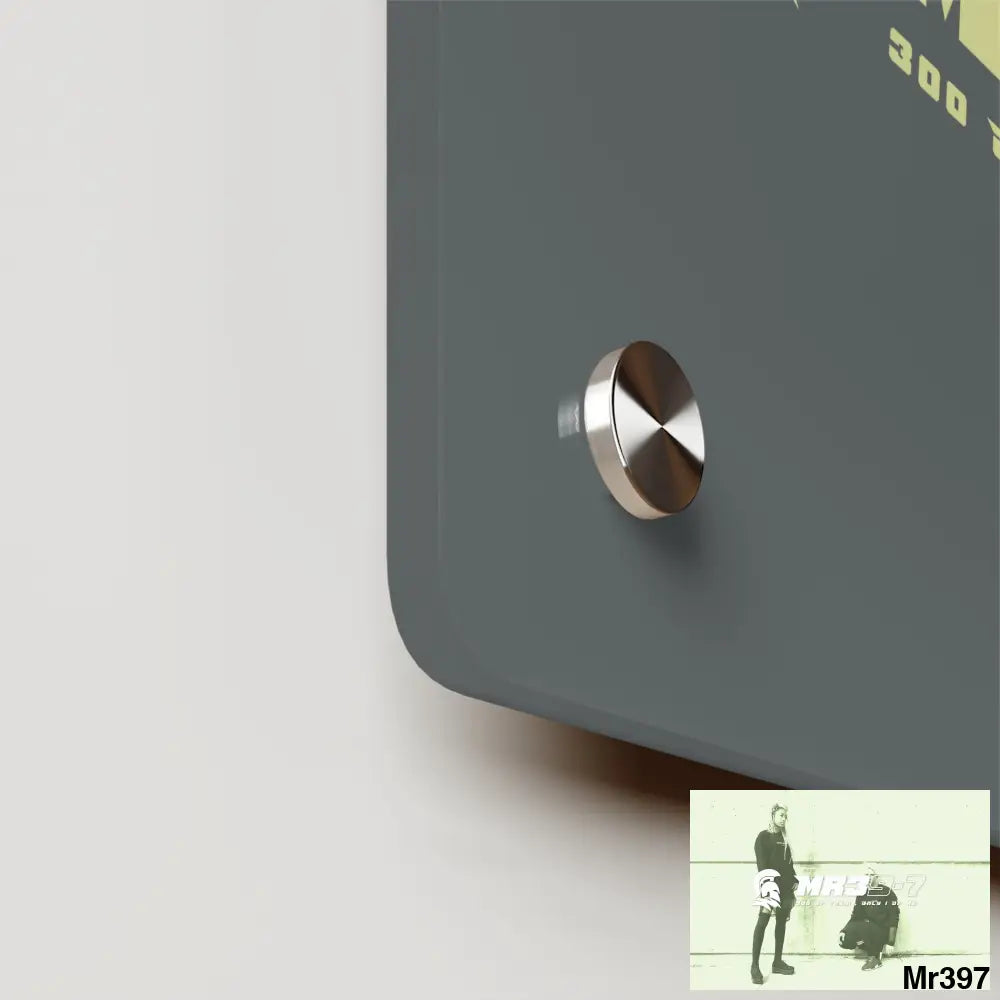 MR39 Sparta Sparta Acrylic Wall Art Panels Home Decor