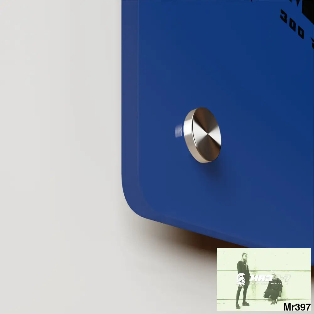 MR39 -Sparta Acrylic Wall Art Panels Home Decor