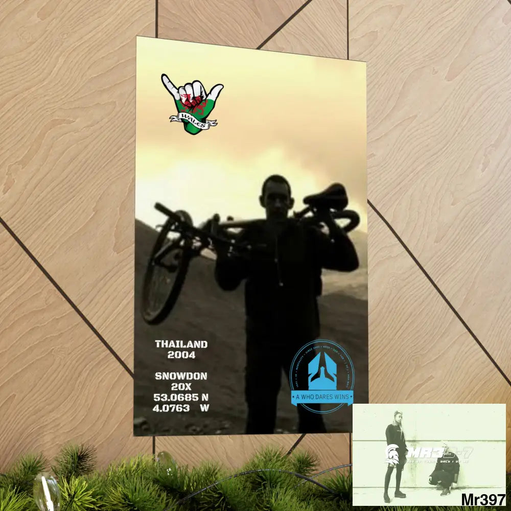 My birthday Beating not 20X Snowdon Matte Vertical Posters Poster