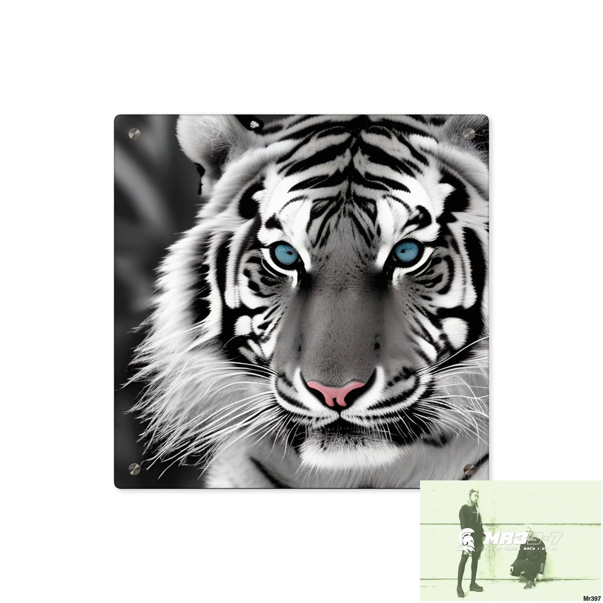 Tiger Graphic Acrylic Wall Art Panels 16″ x 16″ (Square) / 0.25’’ Home Decor