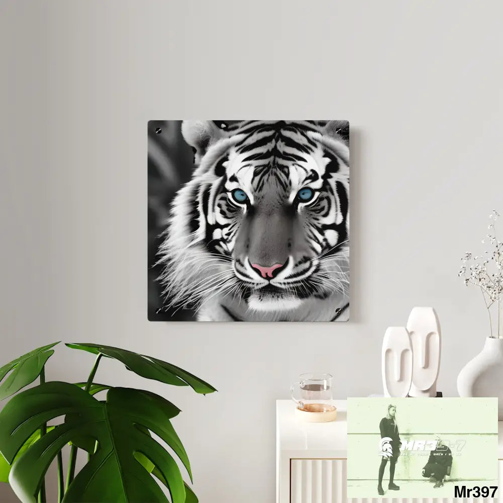 Tiger Graphic Acrylic Wall Art Panels Home Decor