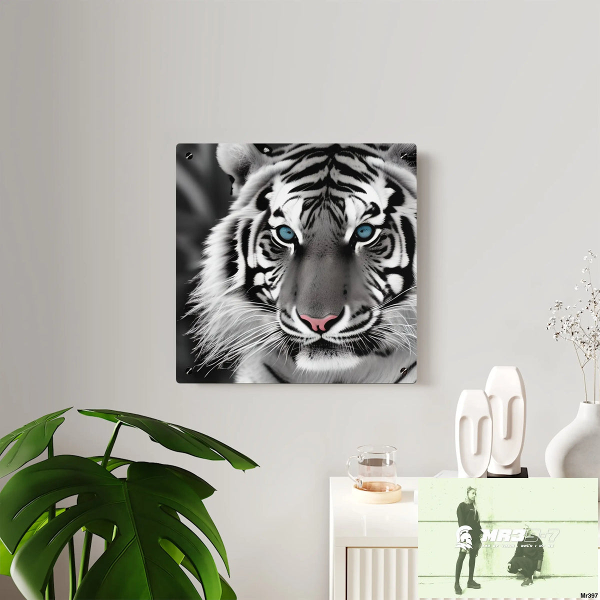 Tiger Graphic Acrylic Wall Art Panels Home Decor