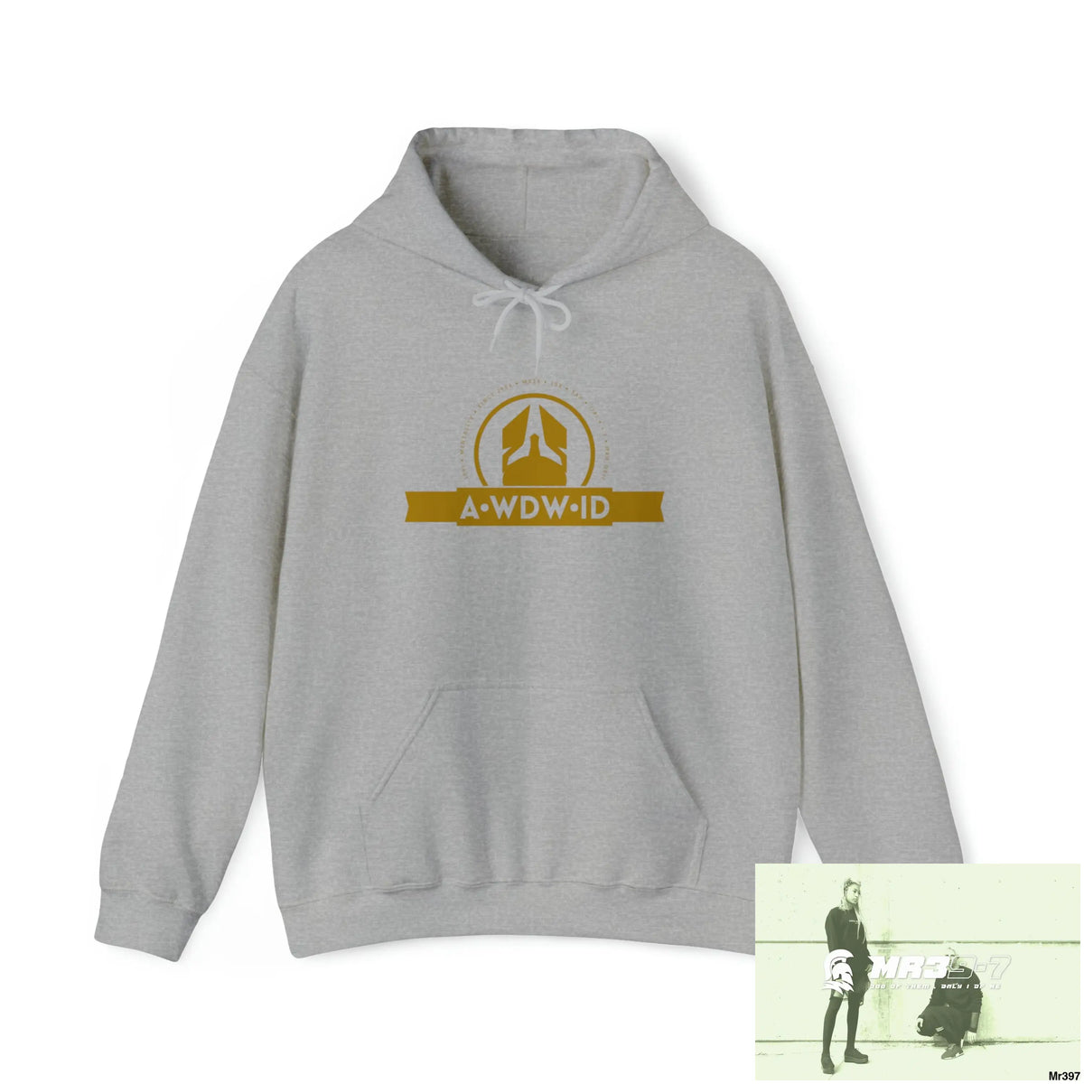 Unisex A Who Dares Wins (ID) RSF I see the Assassin’s Failed Heavy Blend™ Hooded Sweatshirt Sport Grey / S Hoodie