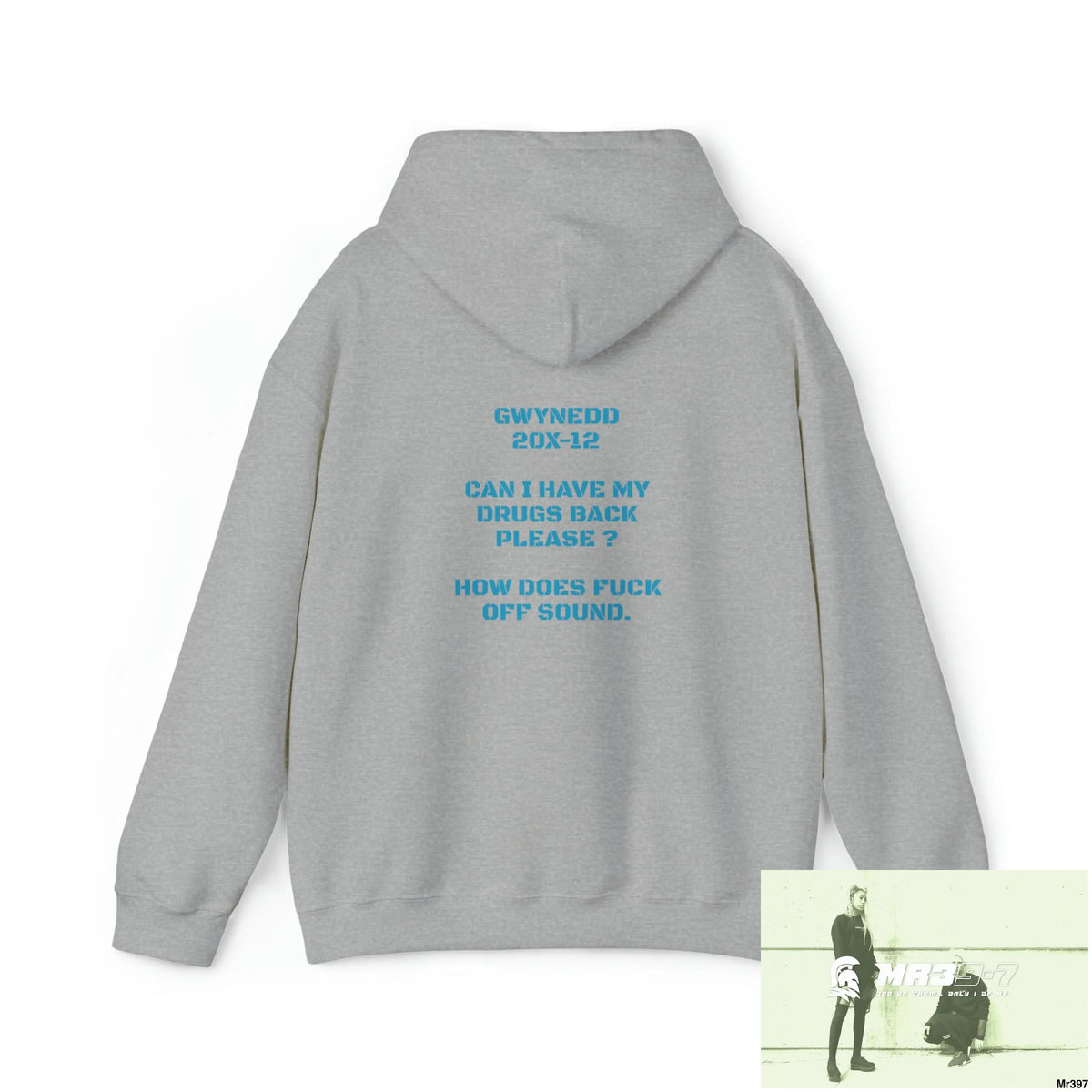 Unisex A1 4 A Reason Gwynedd 20X -12 Can I have drugs back please ? + FK off Heavy Blend™ Hooded Sweatshirt Hoodie