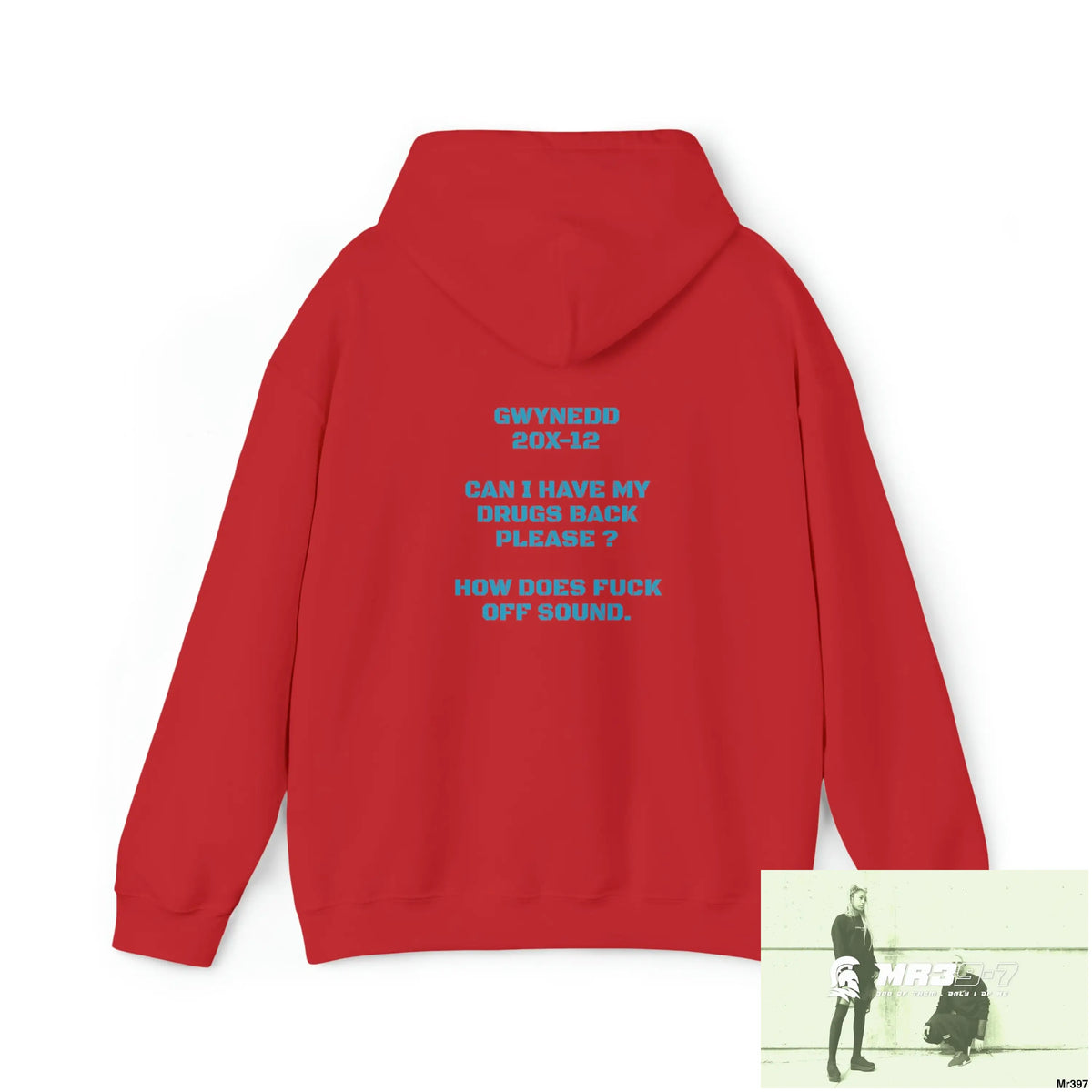 Unisex A1 4 A Reason Gwynedd 20X -12 Can I have drugs back please ? + FK off Heavy Blend™ Hooded Sweatshirt Hoodie