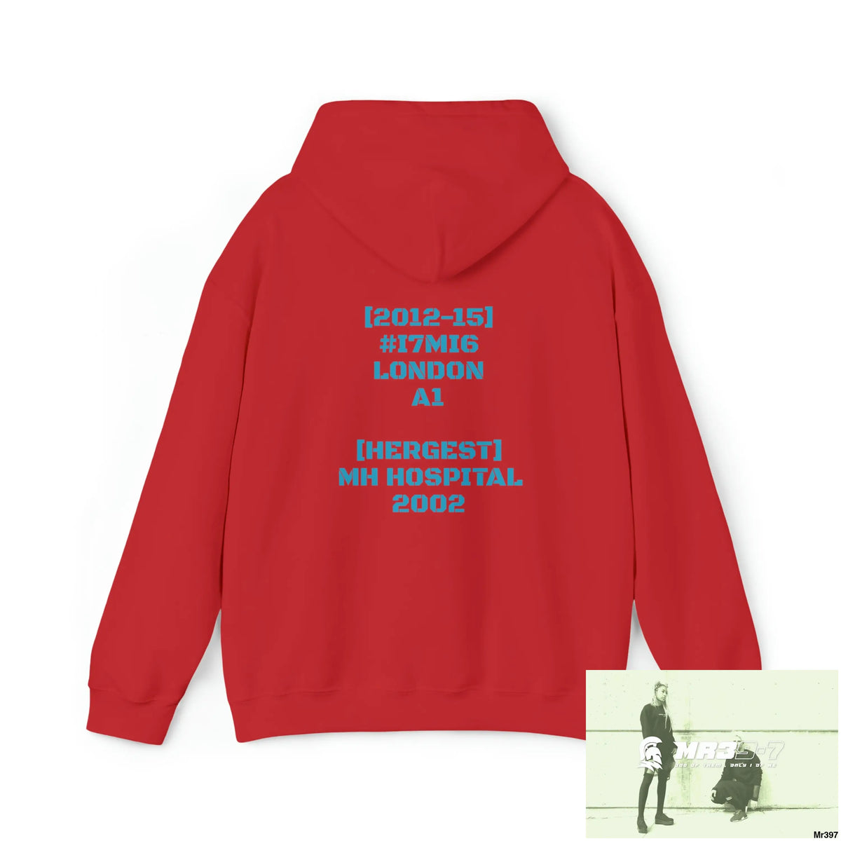 Unisex A1 4 A Reason [Hergest ] MH Hospital 2002-[2012-15] #I7.MI6A1London Heavy Blend™ Hooded Sweatshirt Hoodie