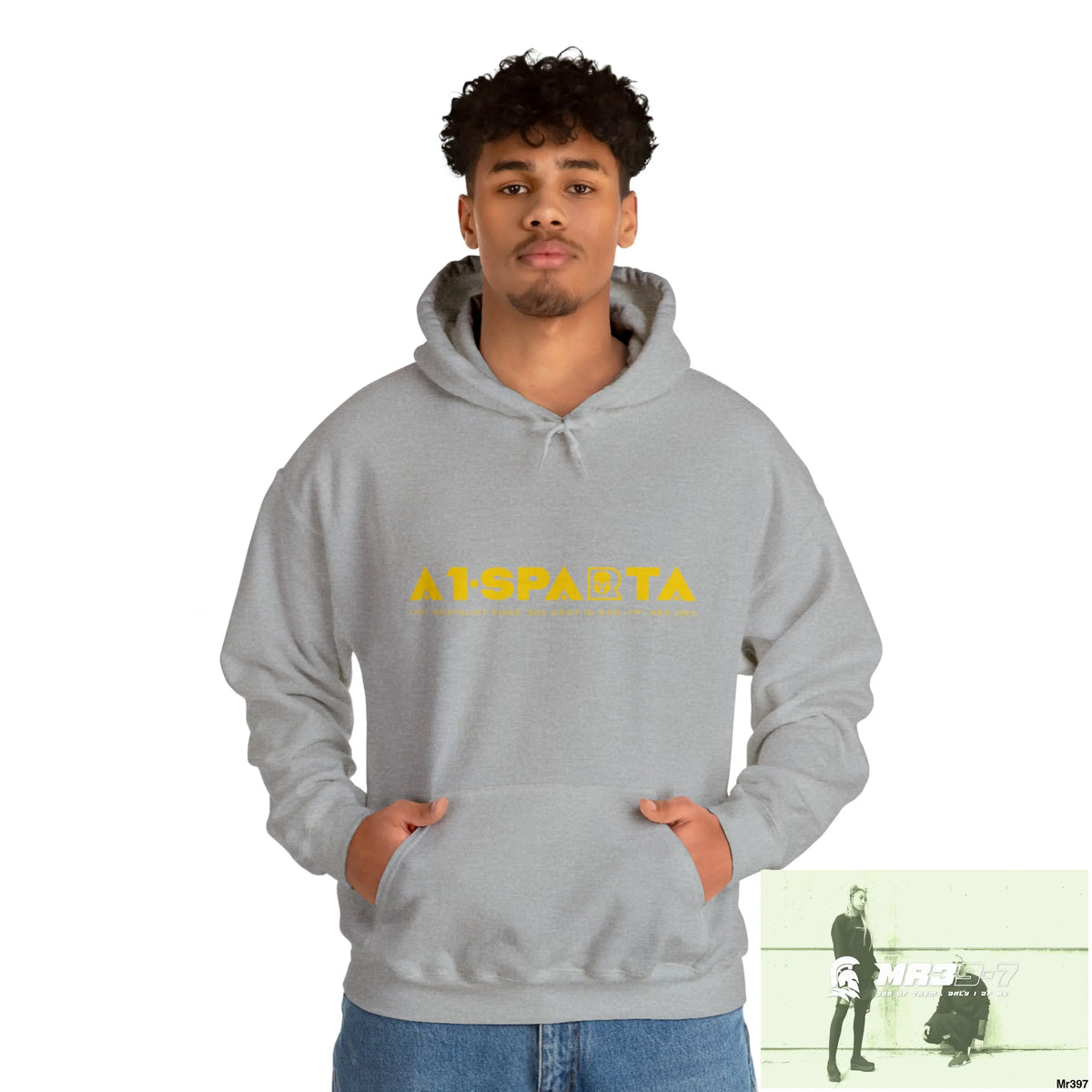 Unisex A1-Sparta 20X-12 Gwynedd Can I have My drugs Back Please ? + Fk off Heavy Blend™ Hooded Sweatshirt Sport Grey