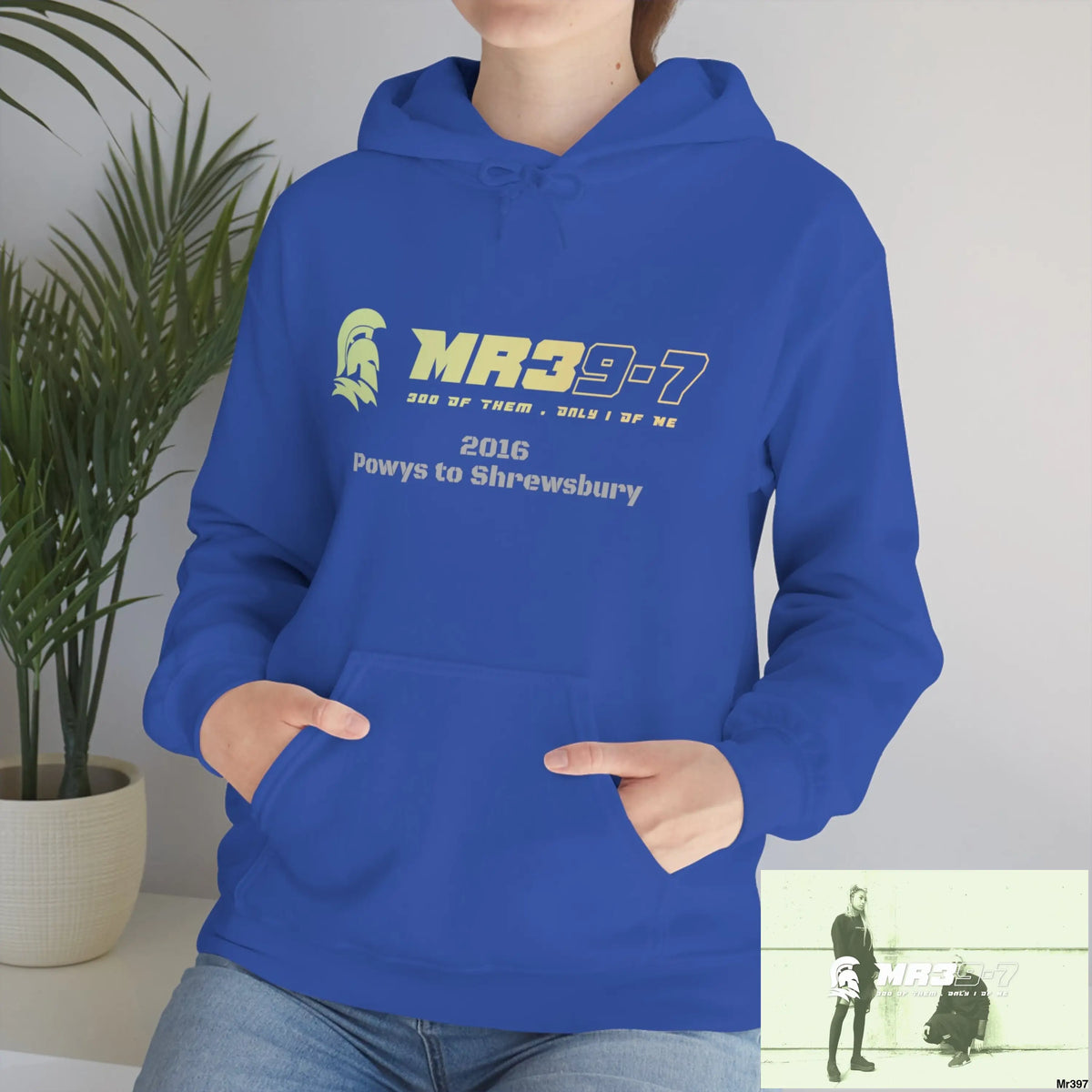 Unisex Shrewsbury in,2016 Heavy Blend™ Hooded Sweatshirt Hoodie