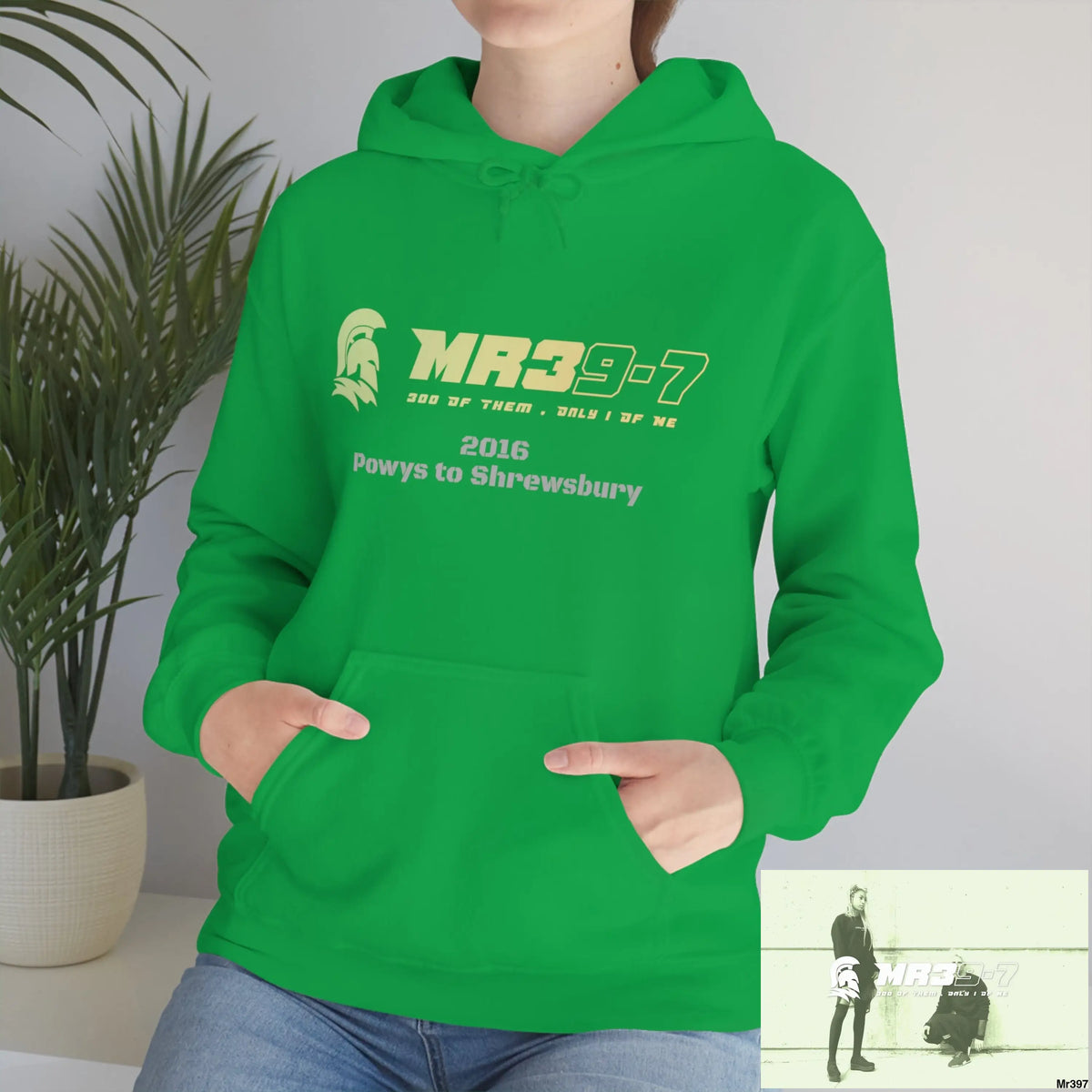 Unisex Shrewsbury in,2016 Heavy Blend™ Hooded Sweatshirt Hoodie