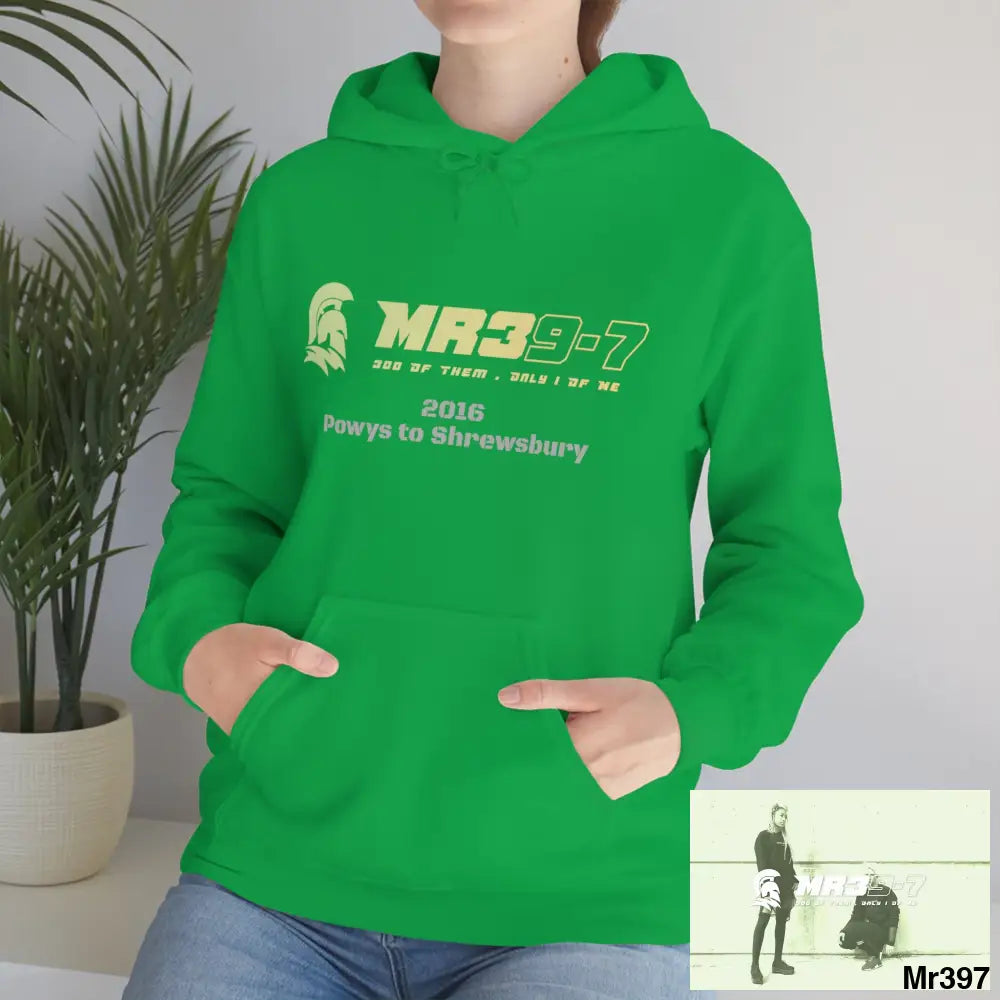 Unisex Shrewsbury in,2016 Heavy Blend™ Hooded Sweatshirt Hoodie