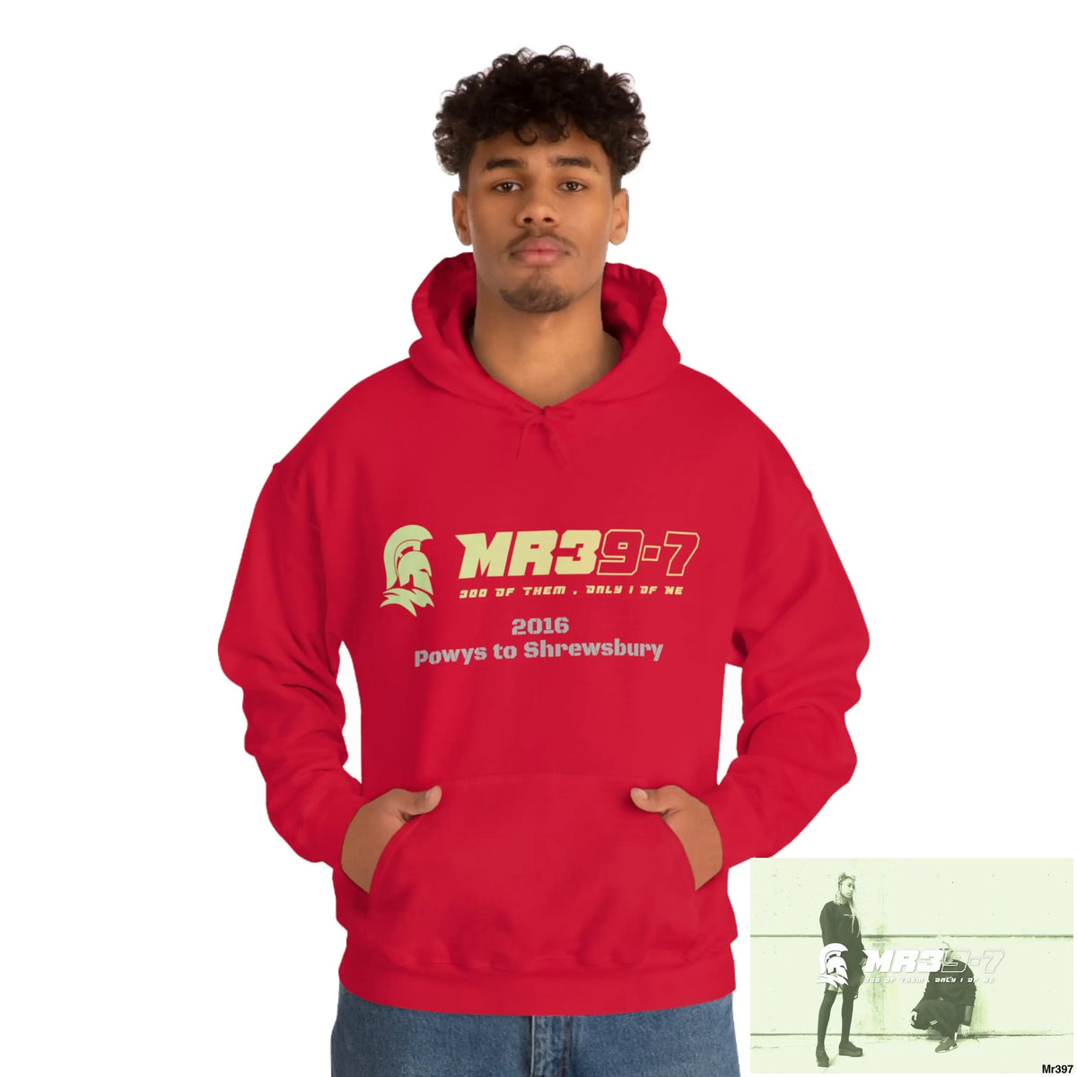 Unisex Shrewsbury in,2016 Heavy Blend™ Hooded Sweatshirt Hoodie