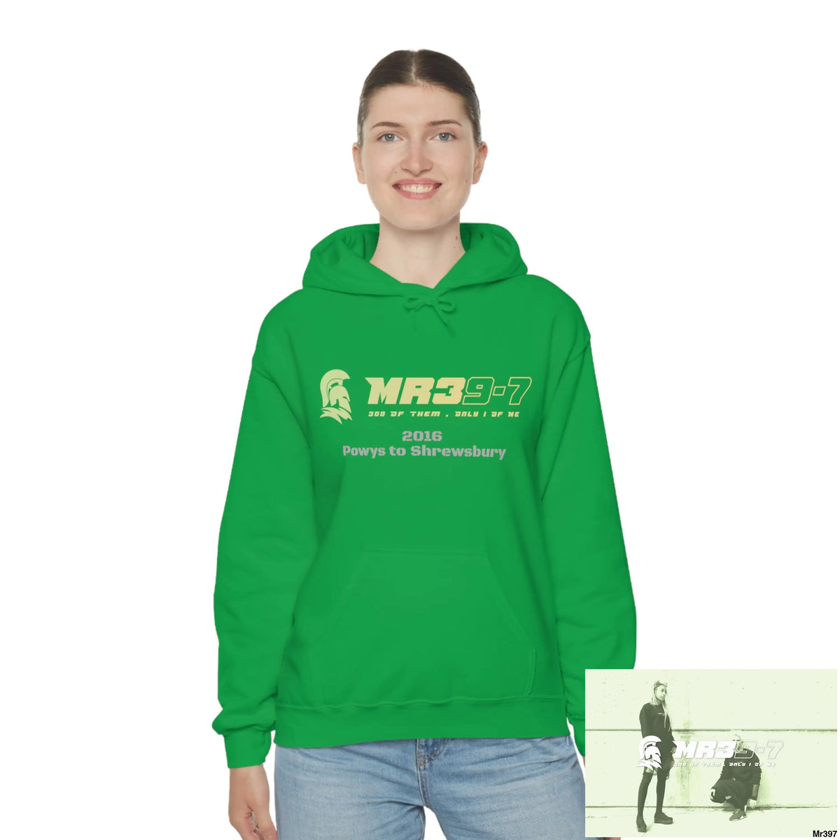 Unisex Shrewsbury in,2016 Heavy Blend™ Hooded Sweatshirt Hoodie