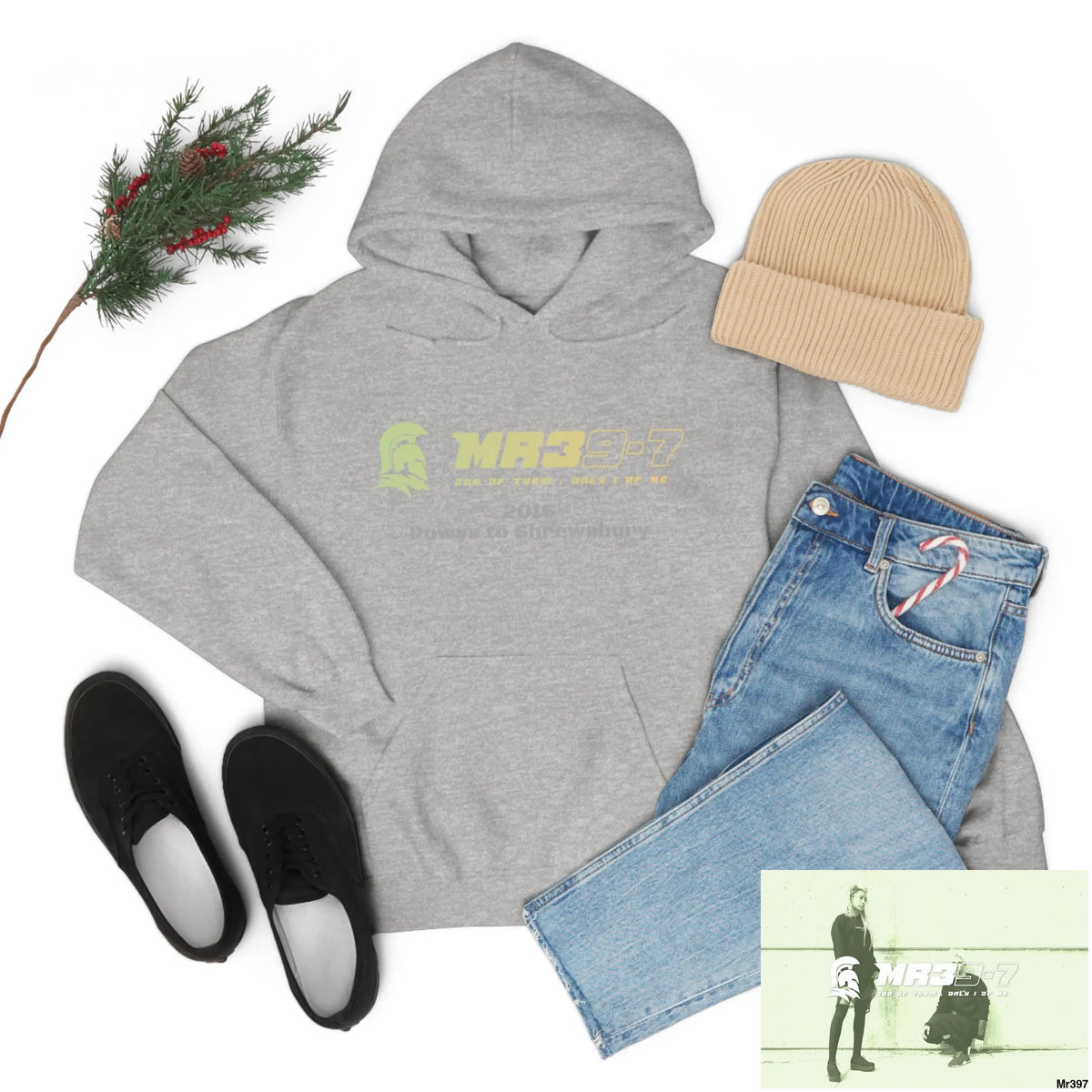 Unisex Shrewsbury in,2016 Heavy Blend™ Hooded Sweatshirt Hoodie