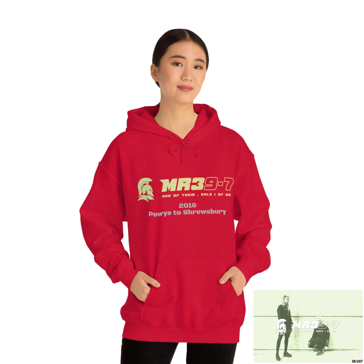 Unisex Shrewsbury in,2016 Heavy Blend™ Hooded Sweatshirt Hoodie