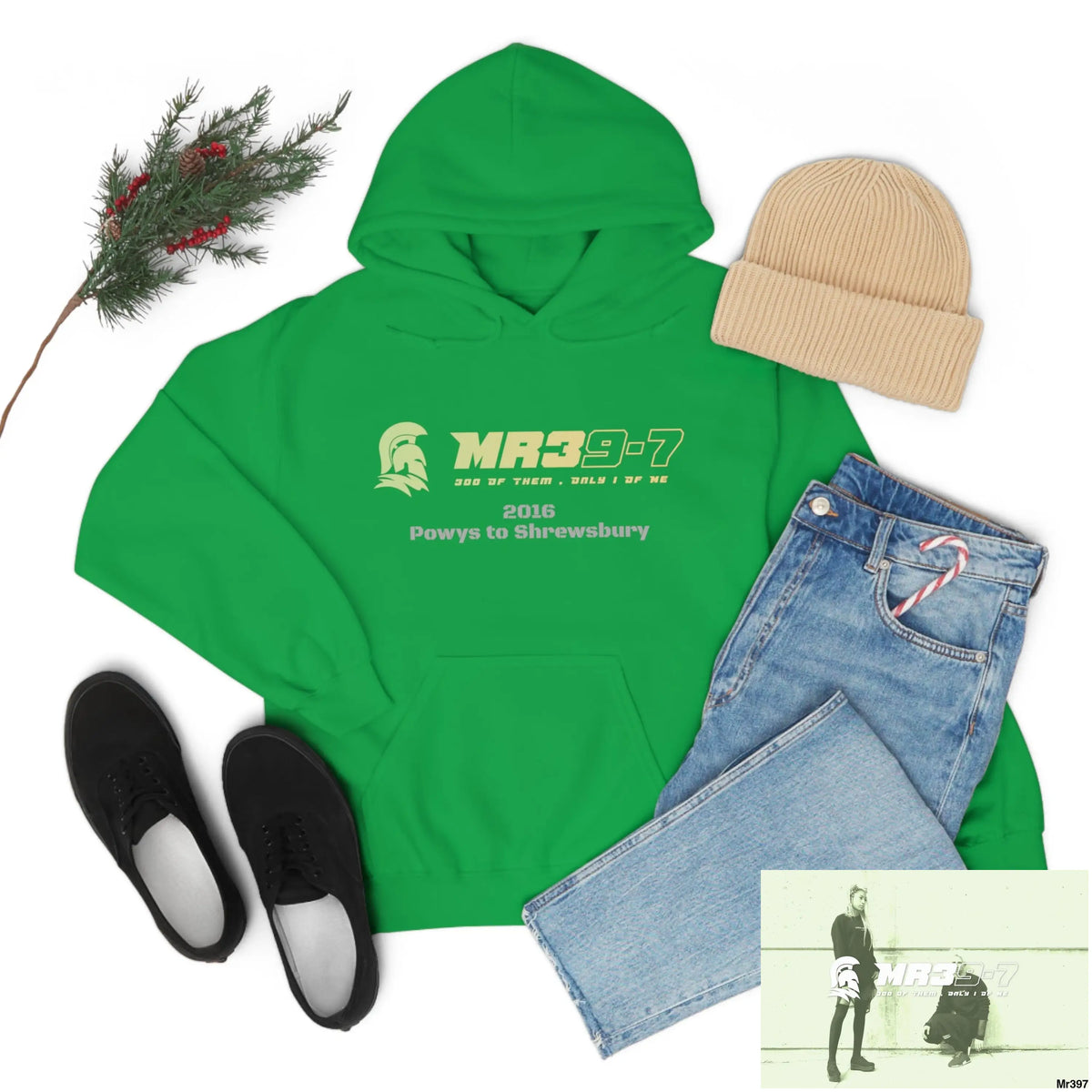 Unisex Shrewsbury in,2016 Heavy Blend™ Hooded Sweatshirt Hoodie